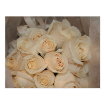Carte postale de roses blancs