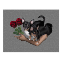Carte postale de roses de chiwawa