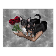 Carte postale de roses de chiwawa