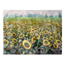 Carte postale de tournesol