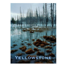 Carte postale de Yellowstone