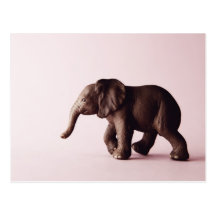 Carte postale d'éléphant