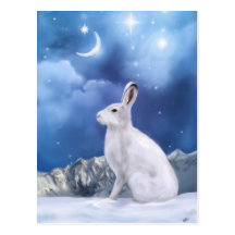 Carte postale éclairée par la lune de sentinelle