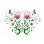 Carte postale florale :    Symétrie de fleur