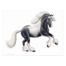 Carte postale gitane de cheval de Vanner