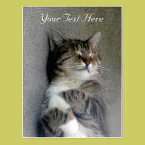 Carte postale heureuse personnalisable de chat cartes postales