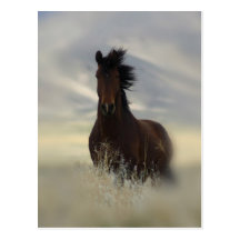 Carte postale iconique