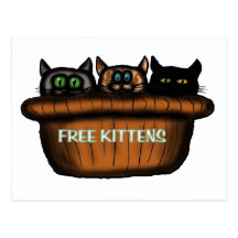 Carte postale libre de chatons