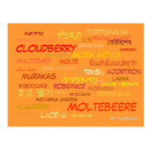 Carte postale - Moltebeere