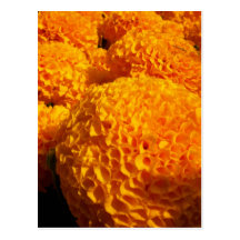 Carte postale orange de souffle