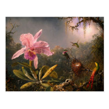 Carte postale : Orchidée et colibris