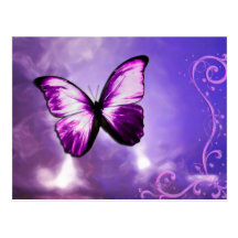 Carte postale pourpre de papillon