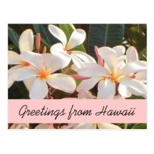 Carte postale rose de salutations d'Hawaï de fleur