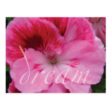 Carte postale rose rêveuse de fleur de géranium