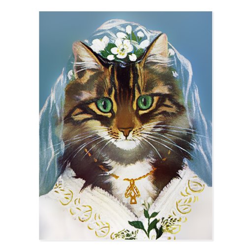 chat mariage