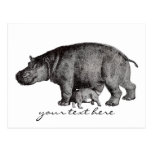 Carte postale vintage d'hippopotame
