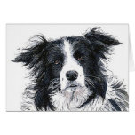 Carte pour notes de border collie