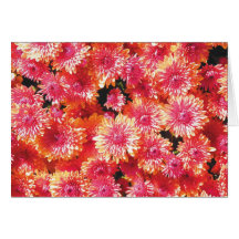 Carte pour notes orange de maman