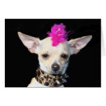 Carte pour notes punk de chiwawa