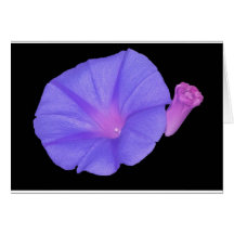 Carte pourpre de fleur