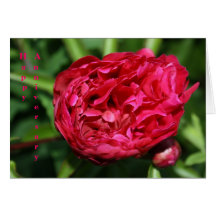 Carte rose d'anniversaire de pivoine rose
