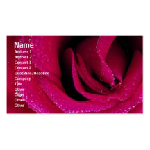 Carte rose de profil de fleurs cartes de visite personnelles