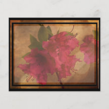 Carte rose de recette de fleur tract