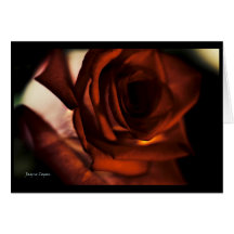 Carte rose, salutation ou note d'amour d'occasion 