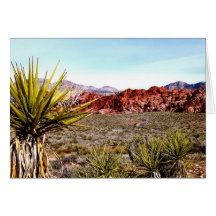 Carte rouge de canyon de roche