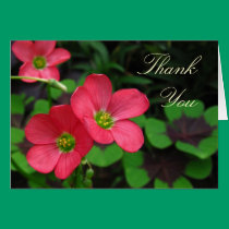 Carte rouge de ~ de Merci d'Oxalis cartes