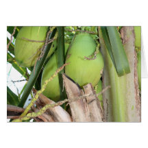 Carte verte de noix de coco