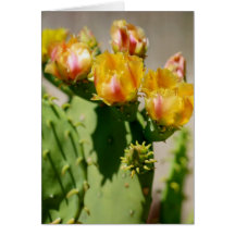 Carte vierge de fleur jaune de cactus