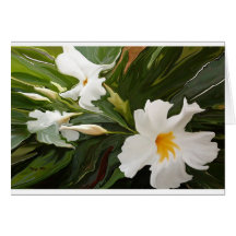CARTE VIERGE DE JASMIN BLANC