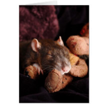 Carte vierge de rat