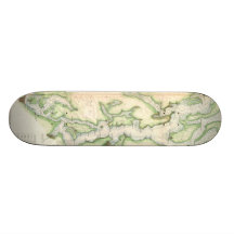 Carte vintage de Puget Sound (1867) Plateaux De Skate