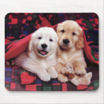 Cartes adorables de photographie de chien, cadeaux tapis de souris