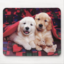 Cartes adorables de photographie de chien, cadeaux tapis de souris