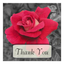Cartes blanches noires de Merci de rose rouge Bristols