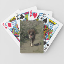 Cartes de jeu de chien de border collie