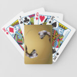 Cartes de jeu de ~ de mante de prière
