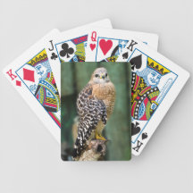 Cartes de jeu Rouge-Épaulées de faucon Jeux De Cartes Bicyle