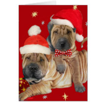 Cartes de Noël de frères de Shar-pei