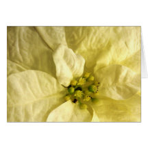 Cartes de note de fleur de mois de naissance - DÉC