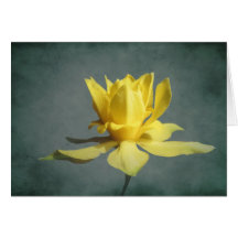 Cartes de note de jonquille de danse