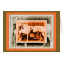 CARTES DE NOTE DE JUMENT ET DE POULAIN 2 D'APPALOO