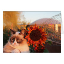 Cartes de note grincheuses de tournesol de chat