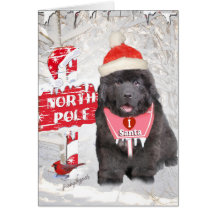Cartes de Père Noël d'amours de chiot de Terre-Neu