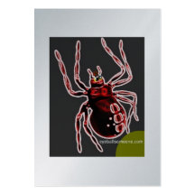 cartes de taureau de mungindi cartes de visite personnelles