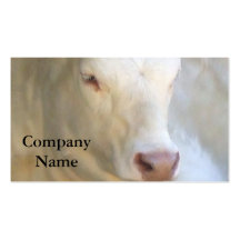 Cartes de visite blancs de vache cartes de visite personnelles