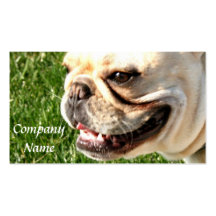 Cartes de visite de bouledogue français modèles de cartes de visite